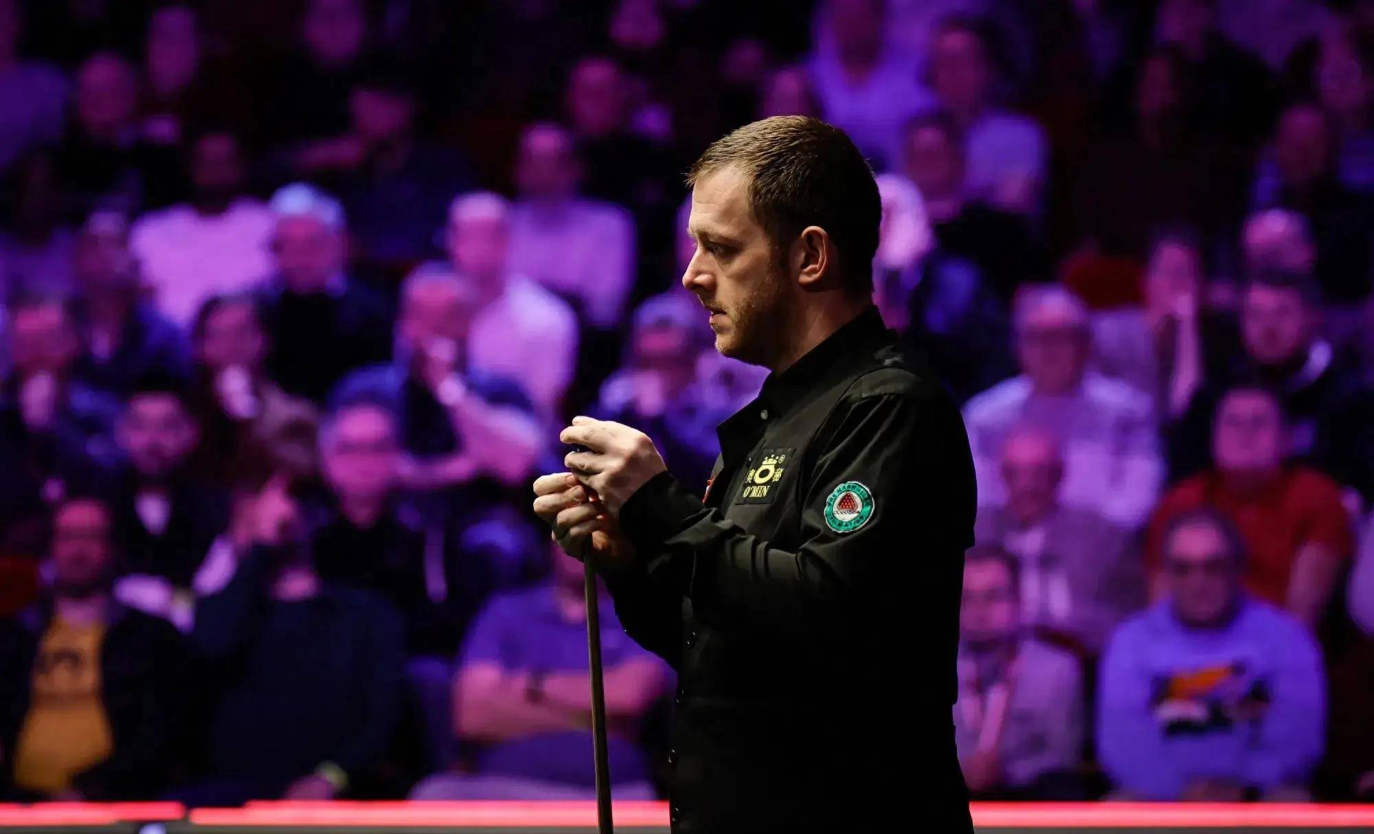 一个可资参 一个可资参